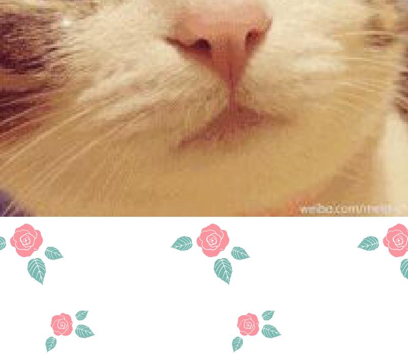 第57话 过去 2-第59话