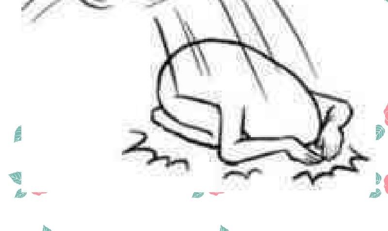 第63话 幻觉-第65话