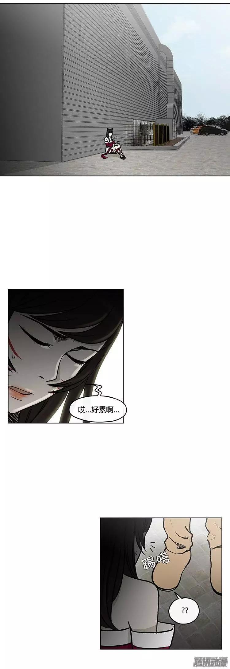 第112集 突然闯入的小熊先生-第113话