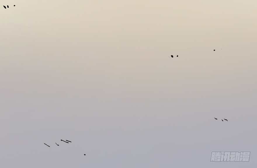 第二十九话：你是谁(1/2)-第29话