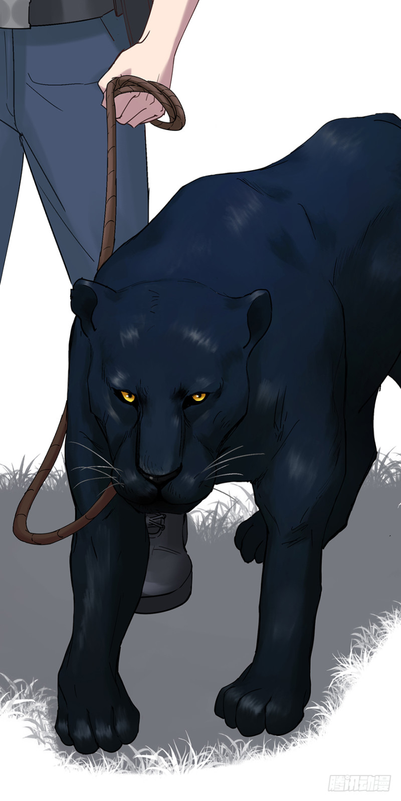 第六十一话：比赛-第61话