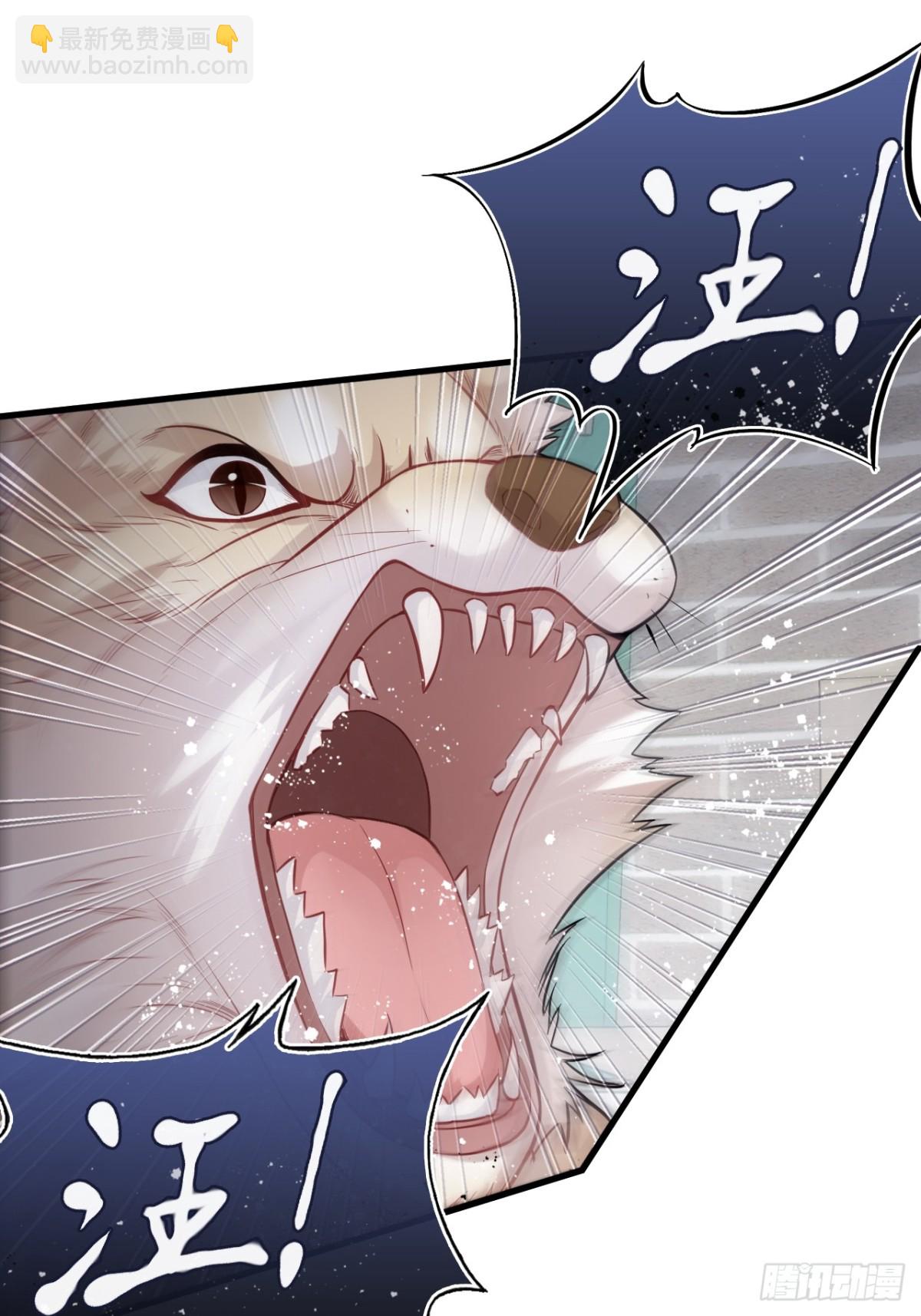 囚笼：11、阿黄-第79话