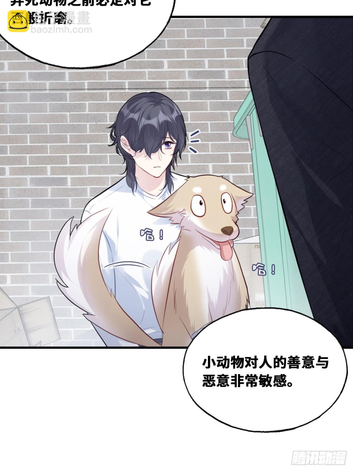 囚笼：12、实情-第81话