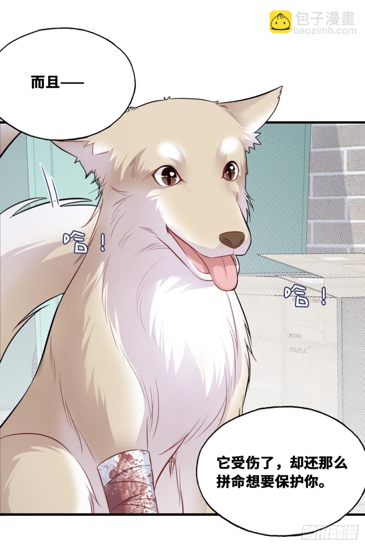 囚笼：12、实情-第81话