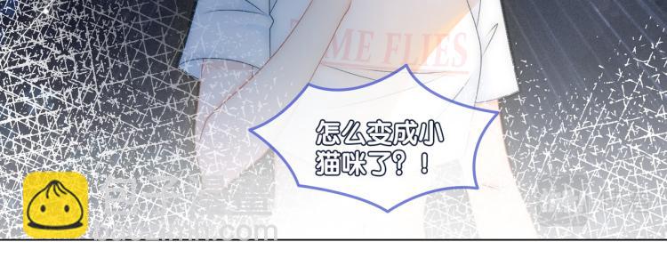 第10话 实力护妻？(1/3)-第11话