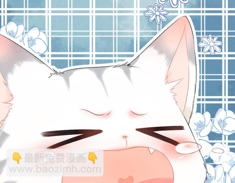 第10话 实力护妻？(1/3)-第11话