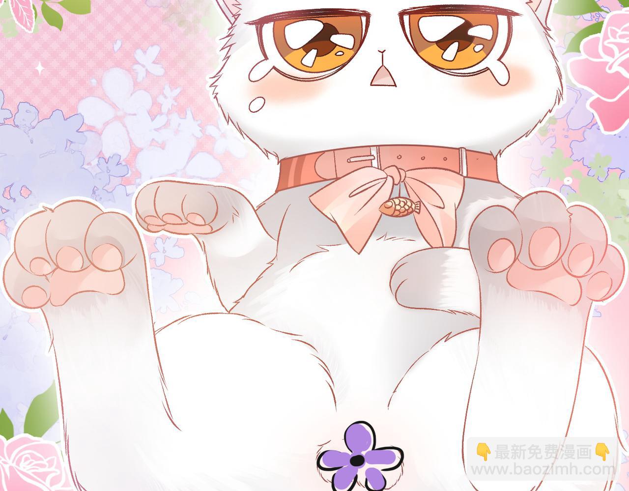 第34话 &ldquo;受伤&rdquo;的总是小猫咪(1/3)-第71话