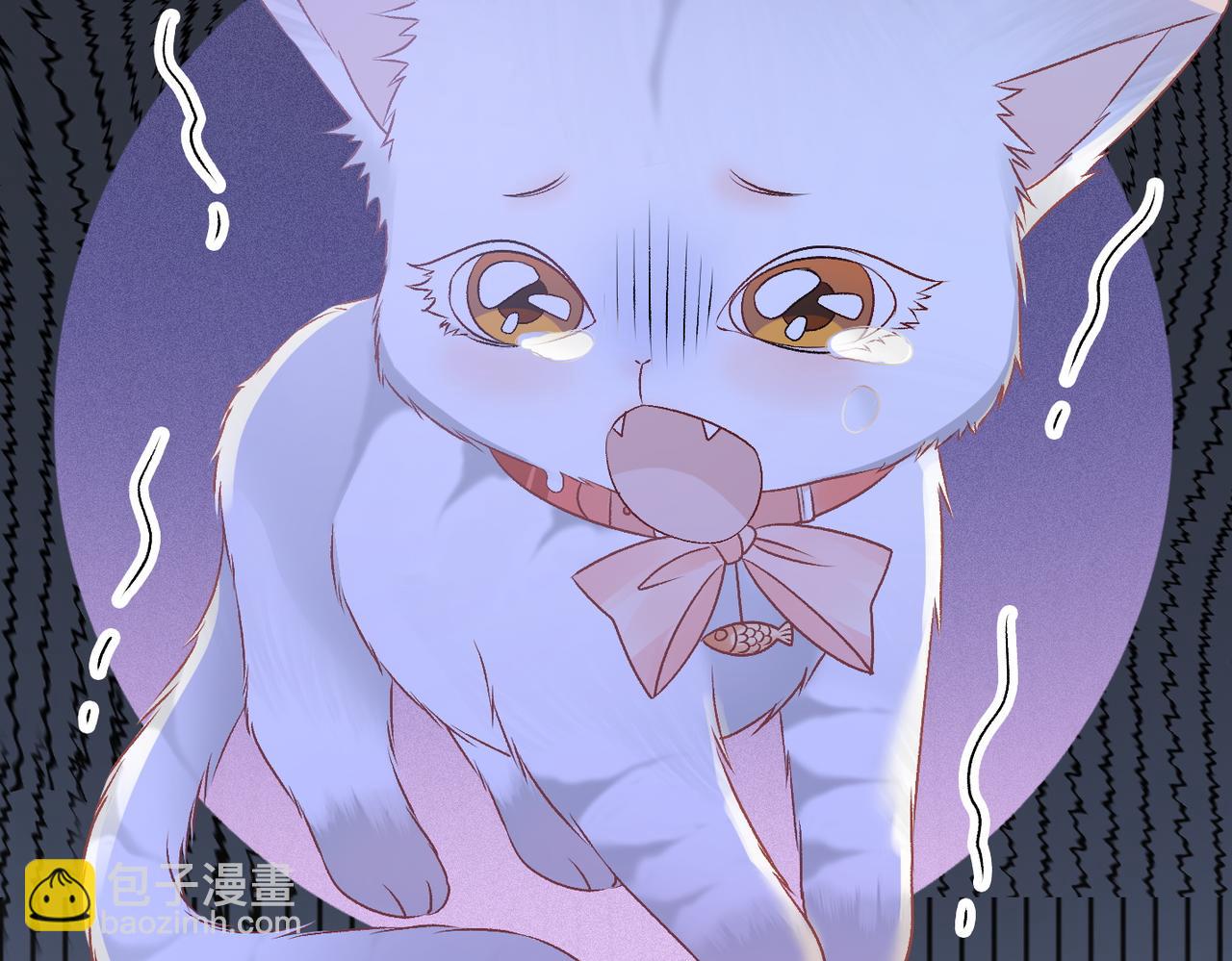 第34话 &ldquo;受伤&rdquo;的总是小猫咪(1/3)-第71话