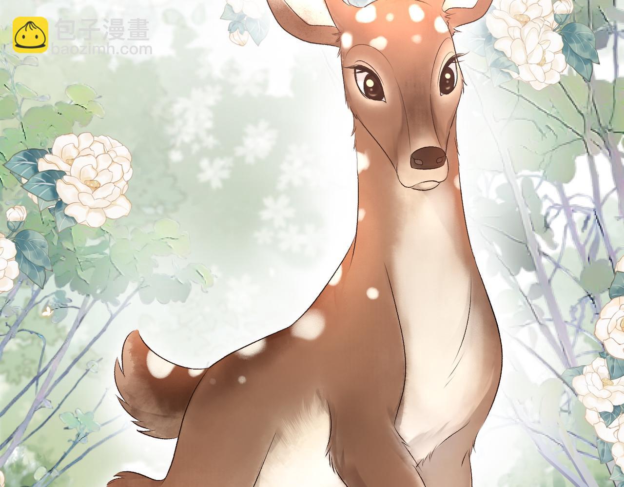 第50话 绝美森林拍摄(1/3)-第87话