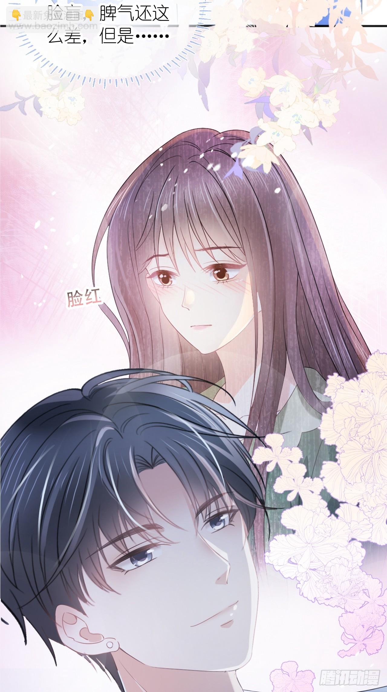 第三十话 我的野天鹅(1/2)-第37话