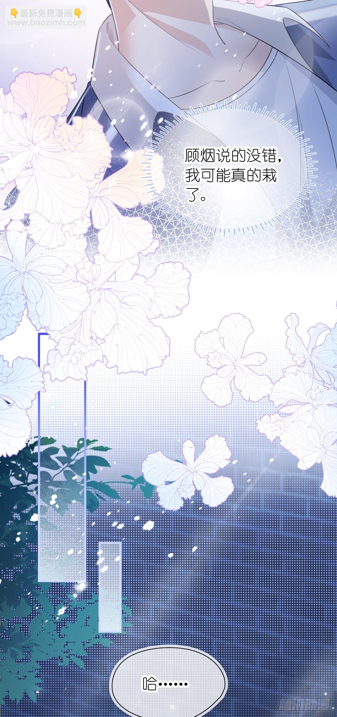 第三十话 我的野天鹅(1/2)-第37话