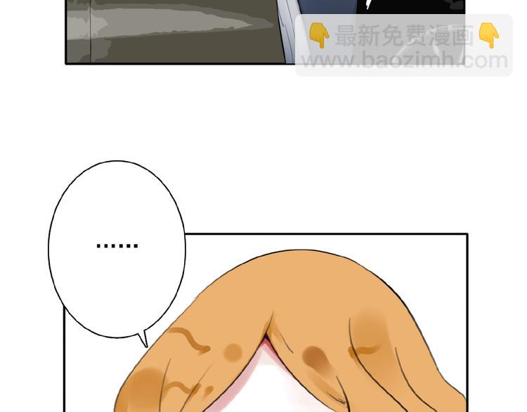 第30话 碎片中的秘密(1/3)-第31话