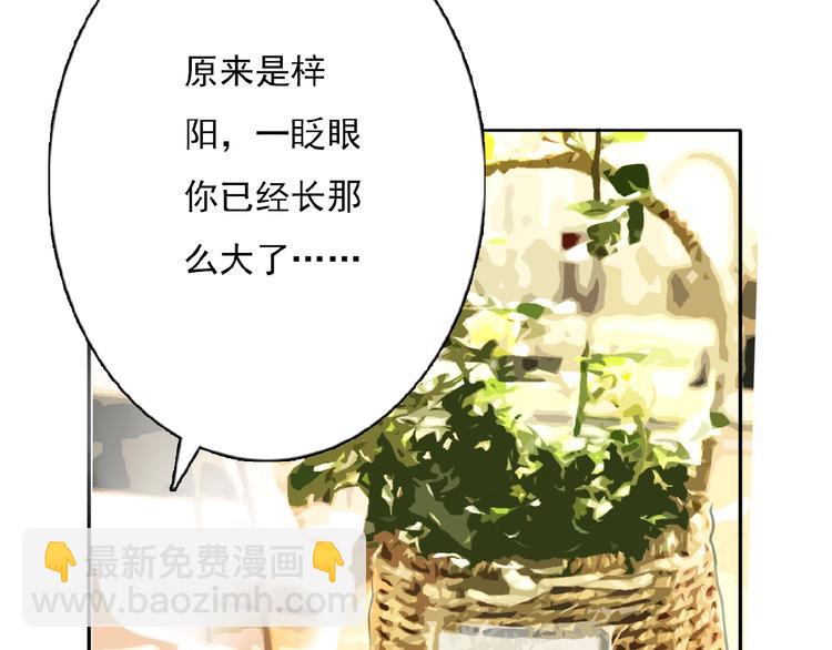 第30话 碎片中的秘密(1/3)-第31话