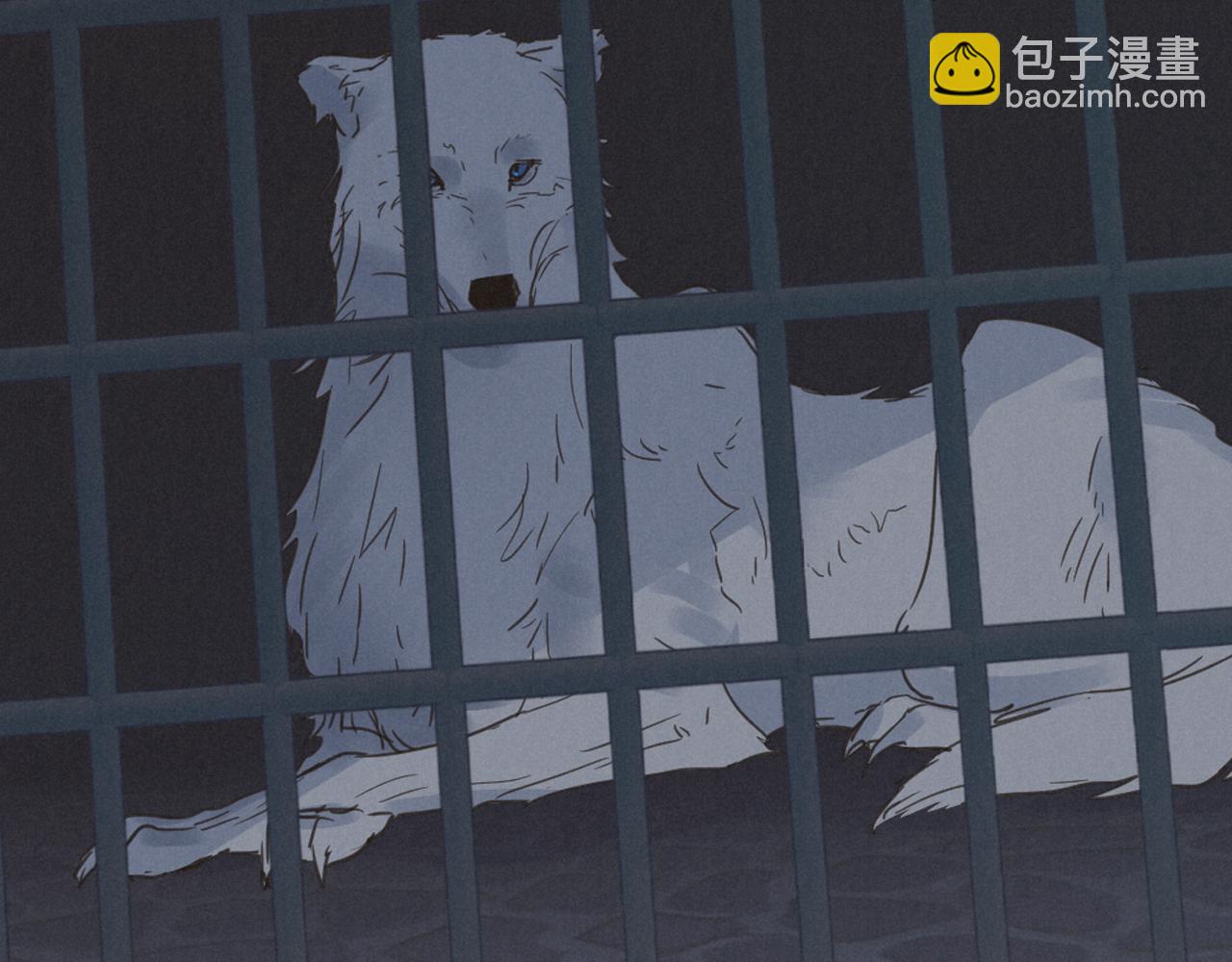 第二季&middot;启 拦车(1/4)-第49话