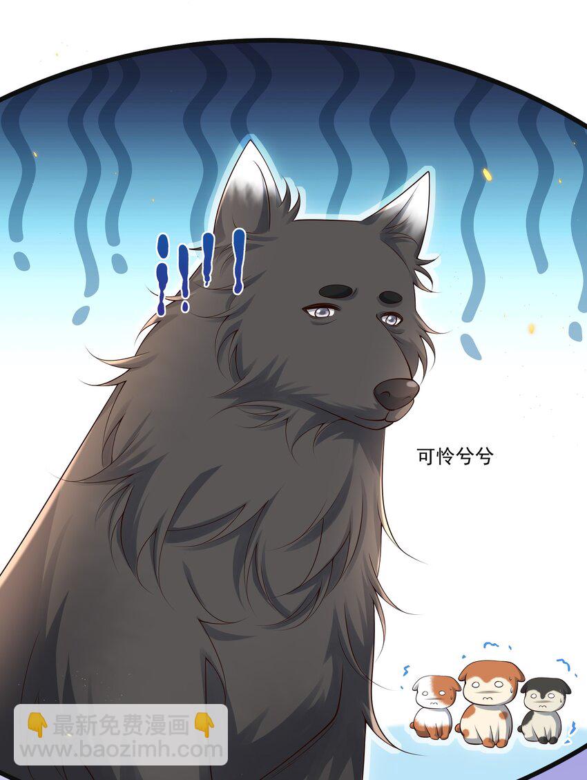 009 可怜大狗狗？-第9话