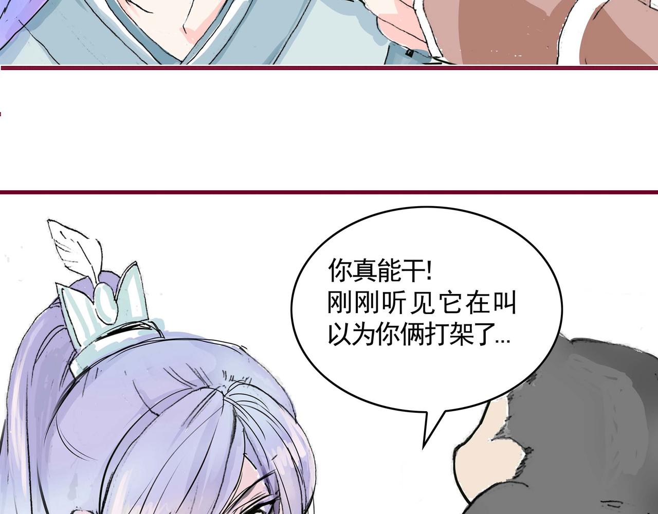 洗狼崽和跟浣熊相处的办法-第15话