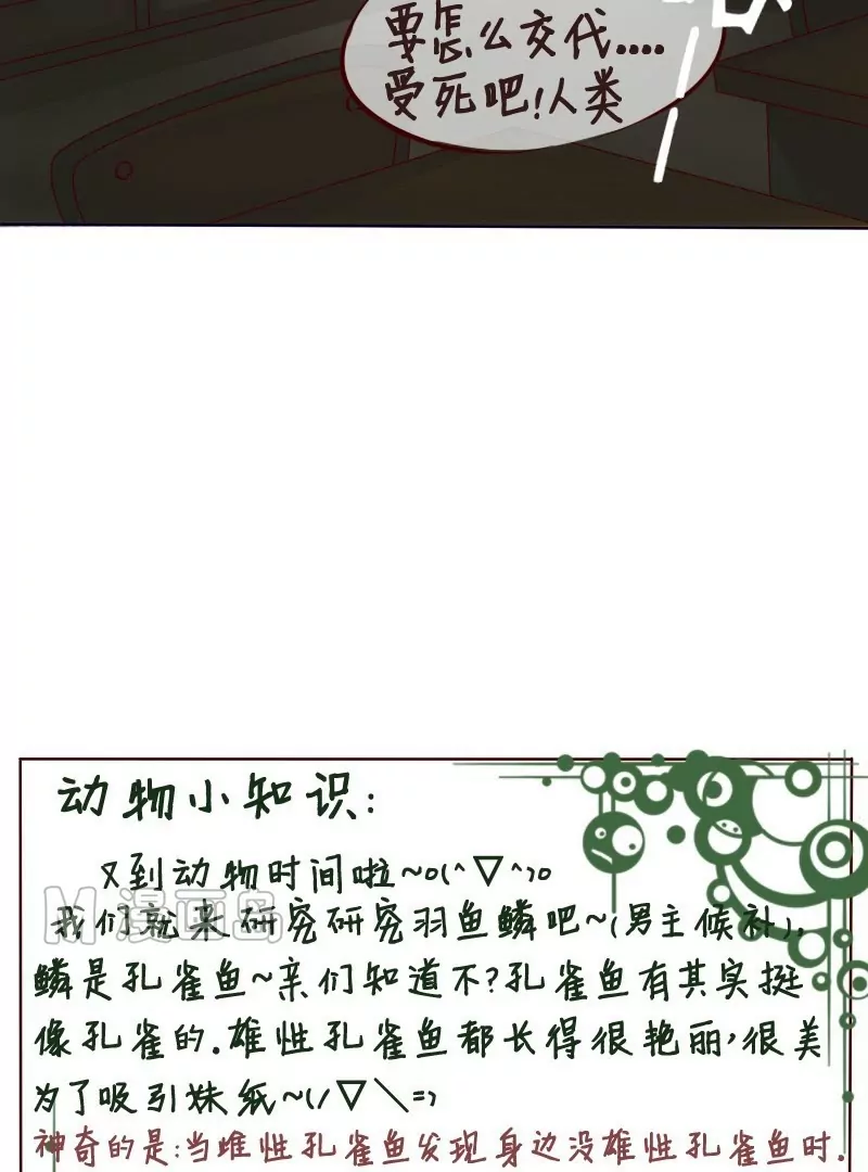 第16话 消失的碗-第17话