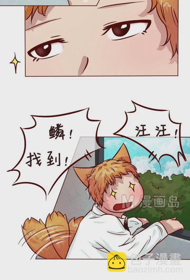 第19话 我的责任-第19话