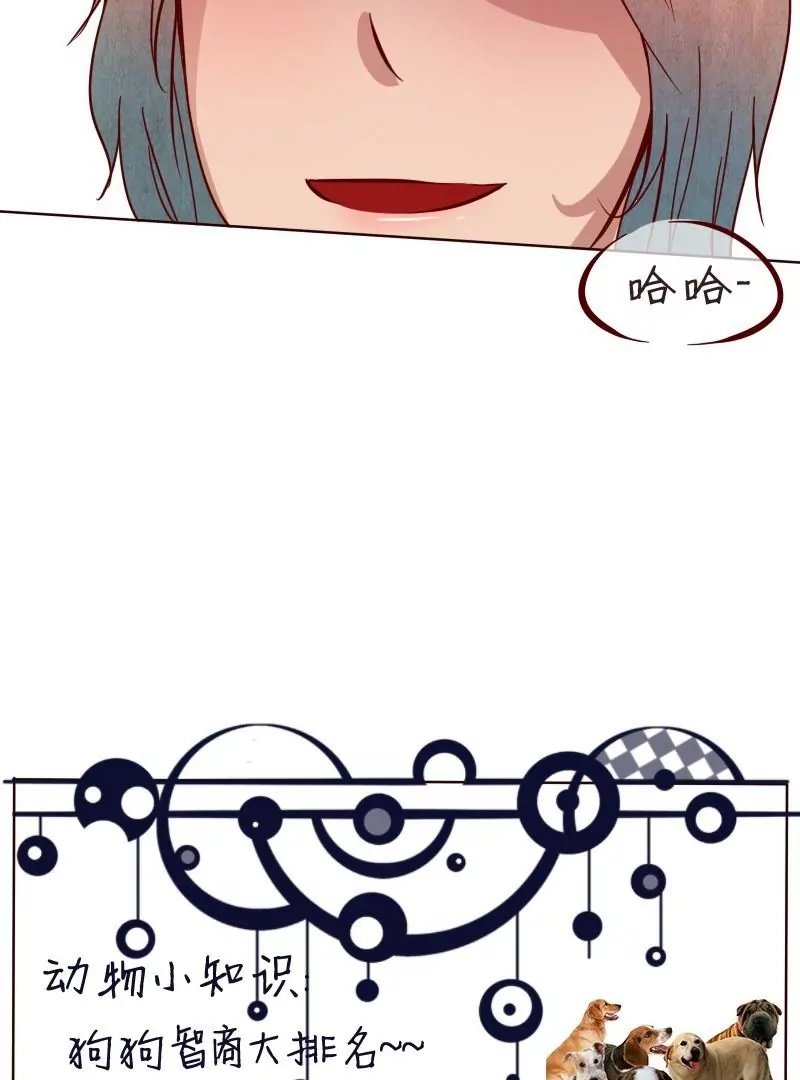 第28话伯劳-第27话