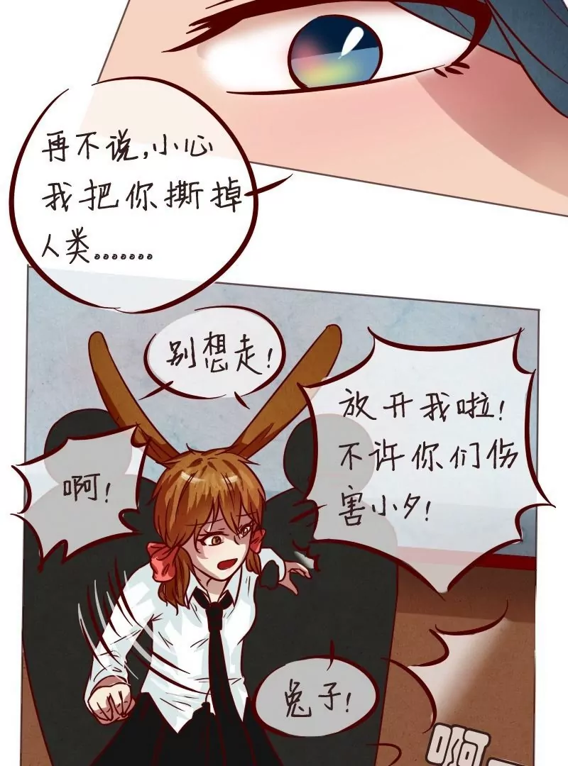 第28话伯劳-第27话