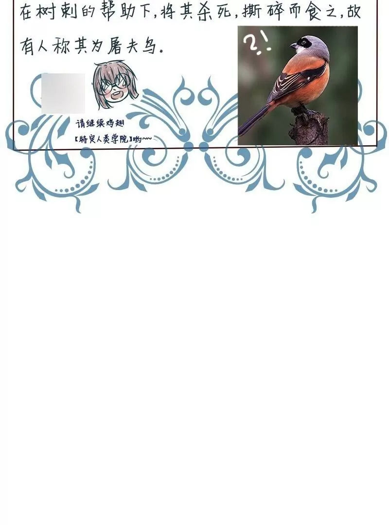 第30话矛盾-第29话