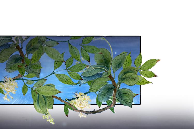 第21话 星使，我带走了(1/2)-第21话