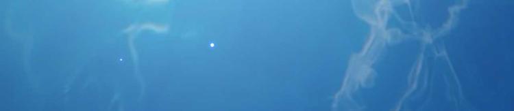 第29话 这面好吃吗(1/2)-第29话