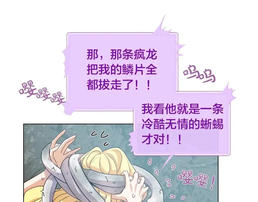 The Golden Haired Elementalist - 第二季 開啓篇 龍的寵物(1/4) - 8