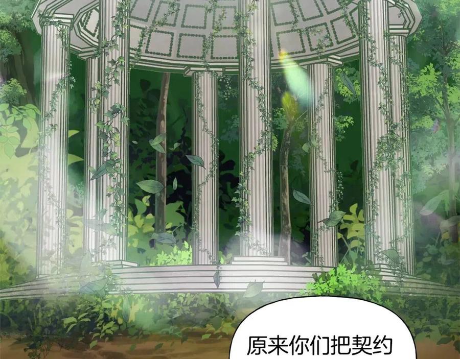 The Golden Haired Elementalist - 第二季完結話(1/5) - 7