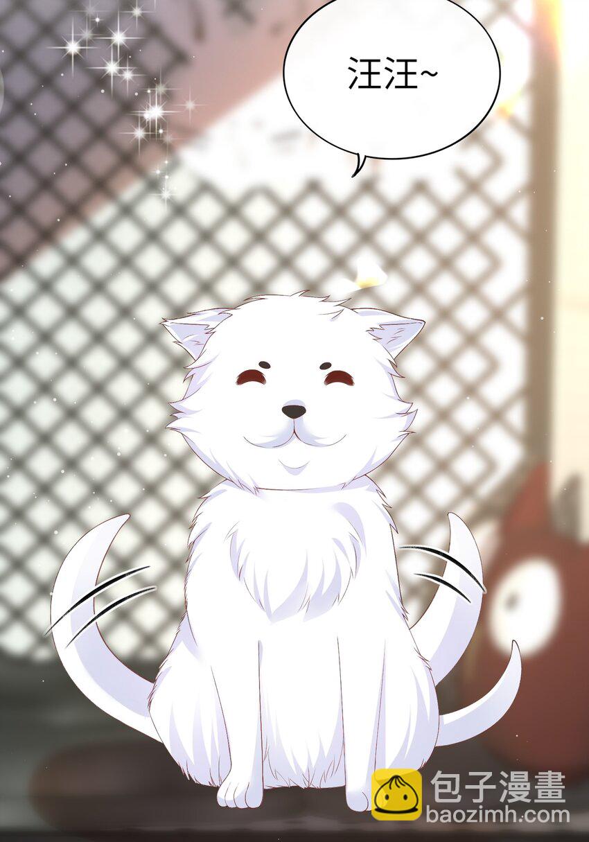 068 和男朋友一起养！-第71话