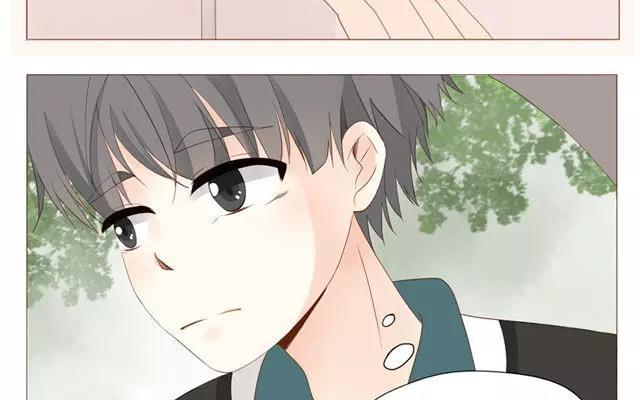 第40话 那个关于树叶的传说-第31话