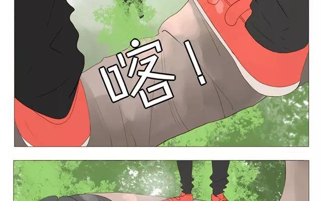 第40话 那个关于树叶的传说-第31话