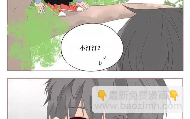 第40话 那个关于树叶的传说-第31话