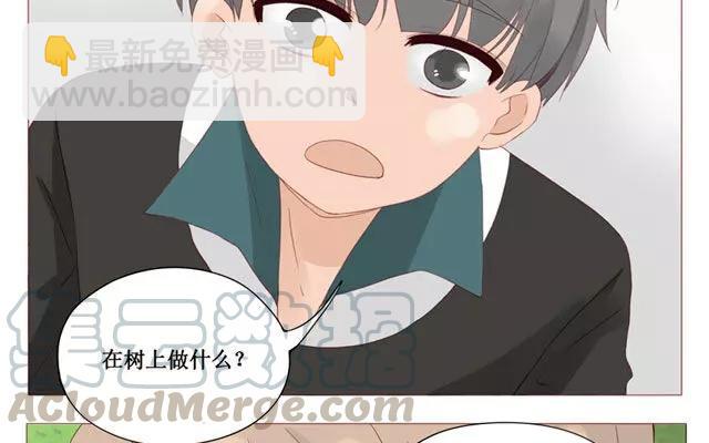 第40话 那个关于树叶的传说-第31话