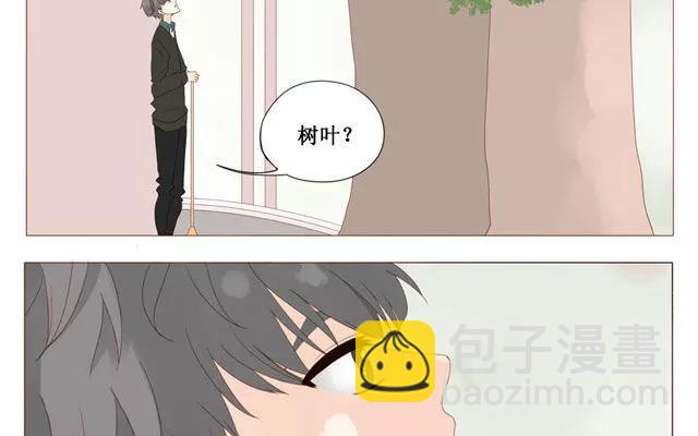 第40话 那个关于树叶的传说-第31话