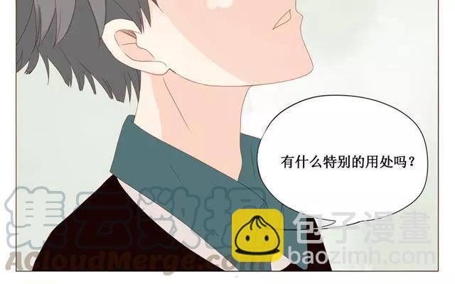 第40话 那个关于树叶的传说-第31话