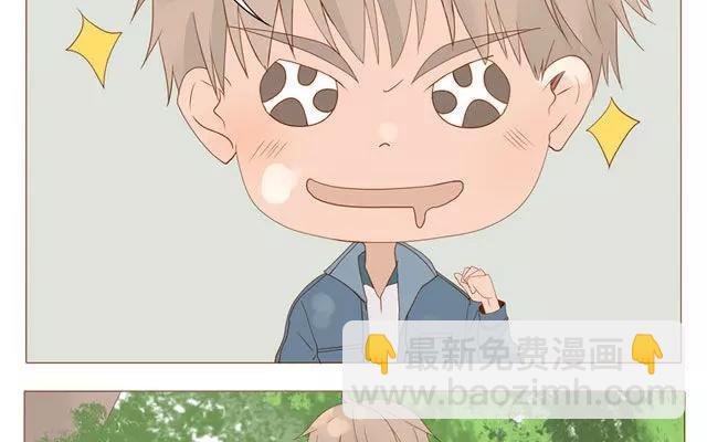 第40话 那个关于树叶的传说-第31话