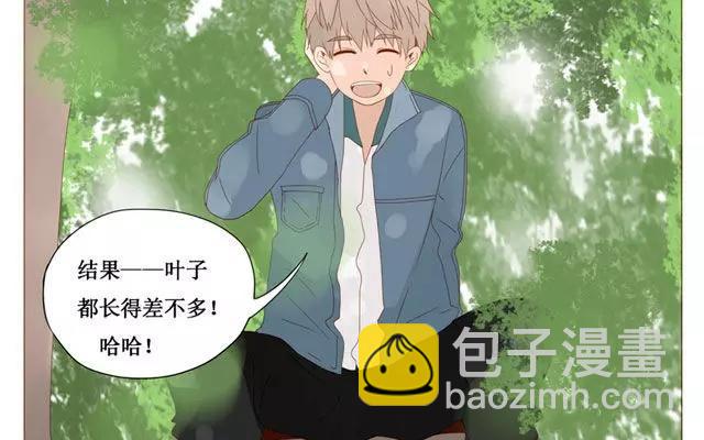 第40话 那个关于树叶的传说-第31话