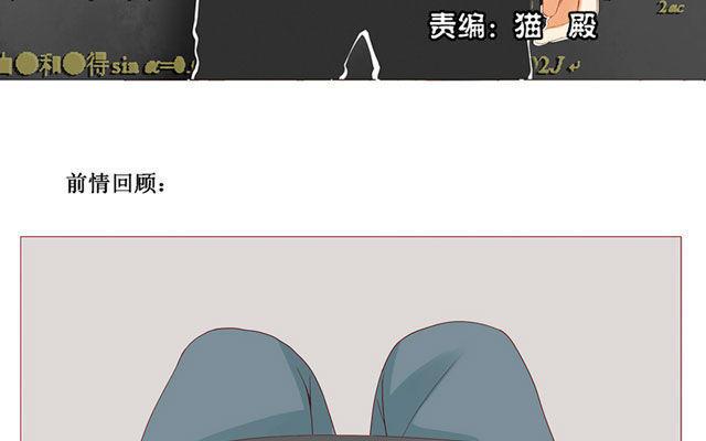 第40话 那个关于树叶的传说-第31话