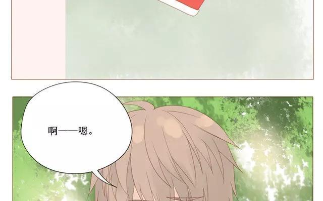 第40话 那个关于树叶的传说-第31话