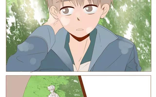 第40话 那个关于树叶的传说-第31话