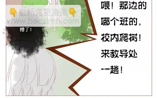 第40话 那个关于树叶的传说-第31话