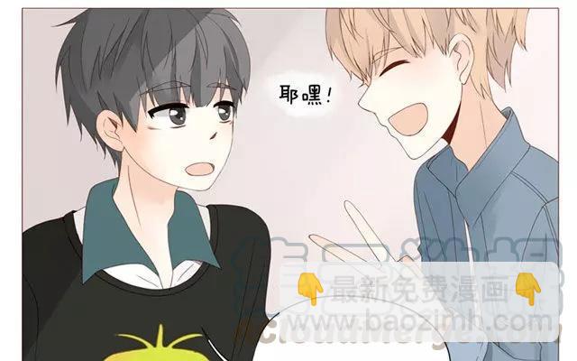 第40话 那个关于树叶的传说-第31话