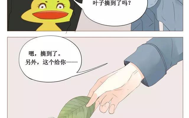 第40话 那个关于树叶的传说-第31话