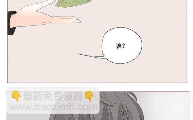 第40话 那个关于树叶的传说-第31话