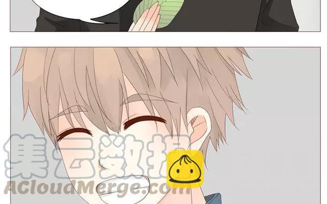 第40话 那个关于树叶的传说-第31话