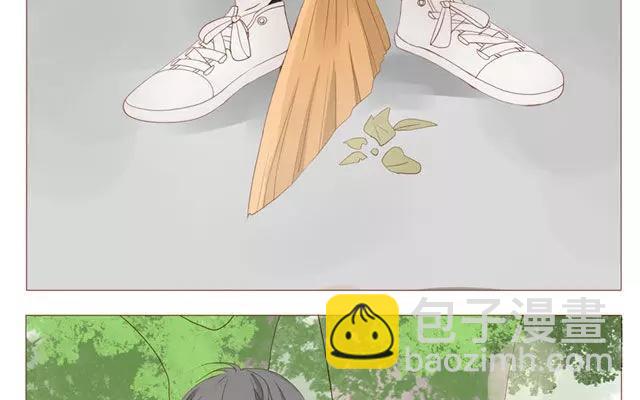 第40话 那个关于树叶的传说-第31话