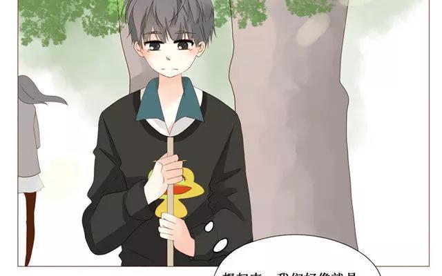 第40话 那个关于树叶的传说-第31话