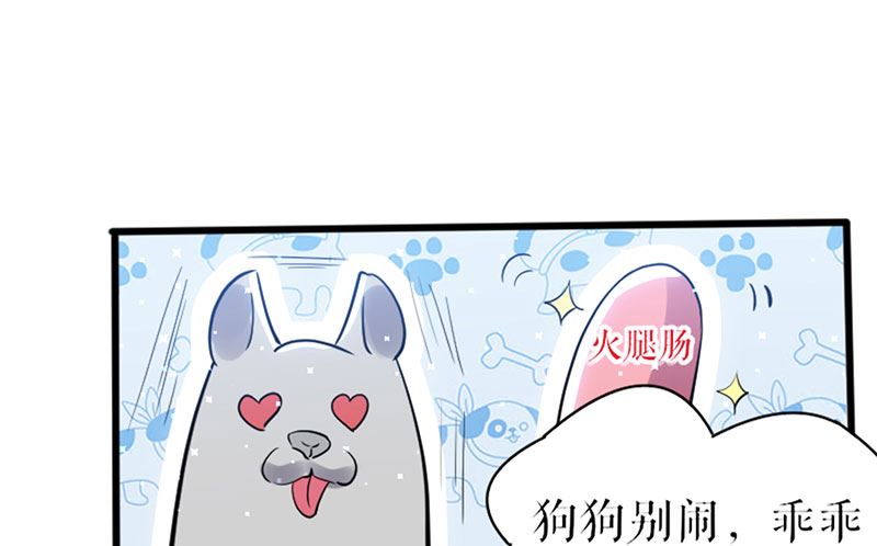 第12话 她结婚了？！-第13话