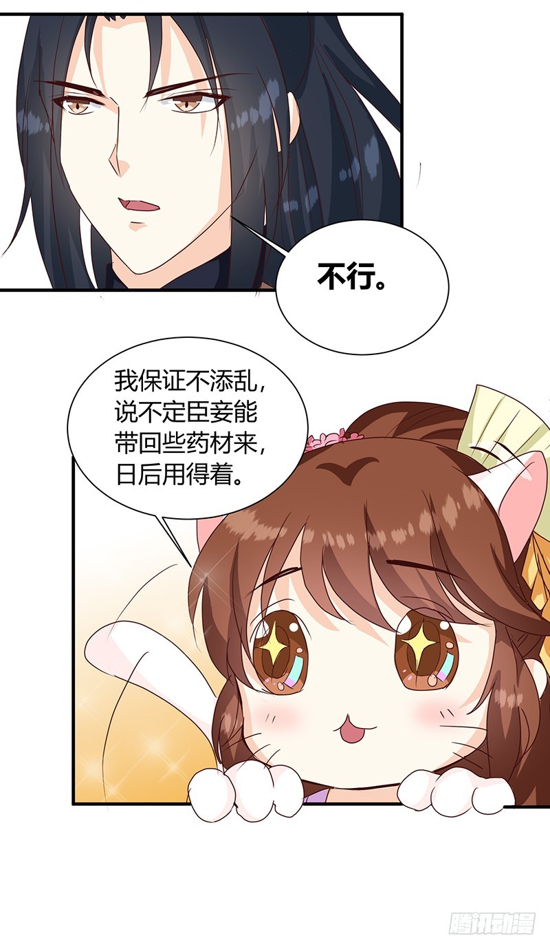 第126话 带你去药城-第127话